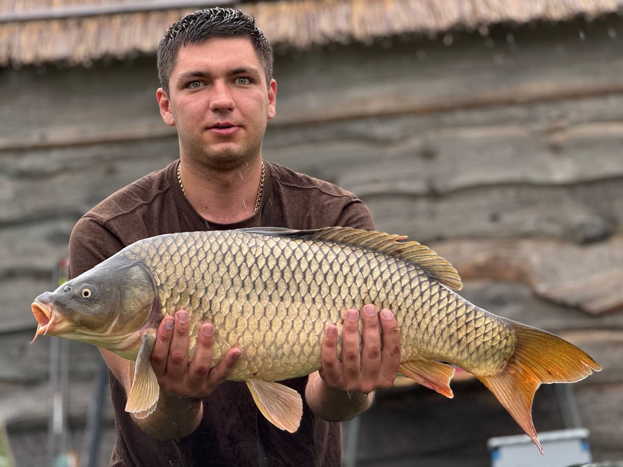 Трофей